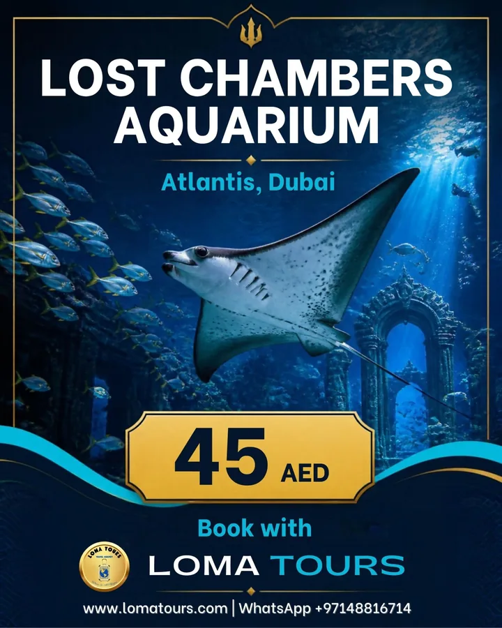 Lost Chambers Aquarium - Loma Tours