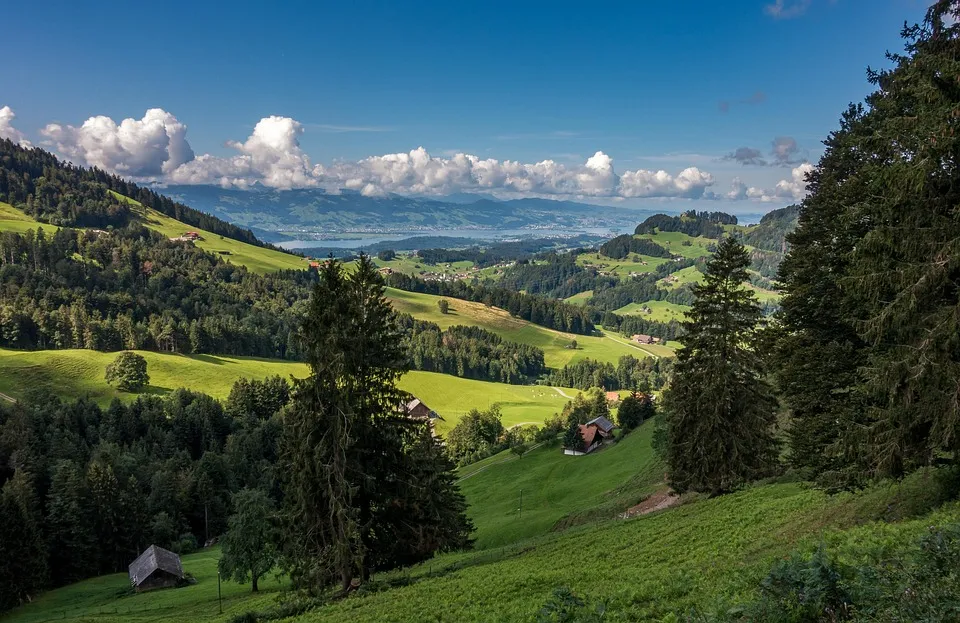Zurich