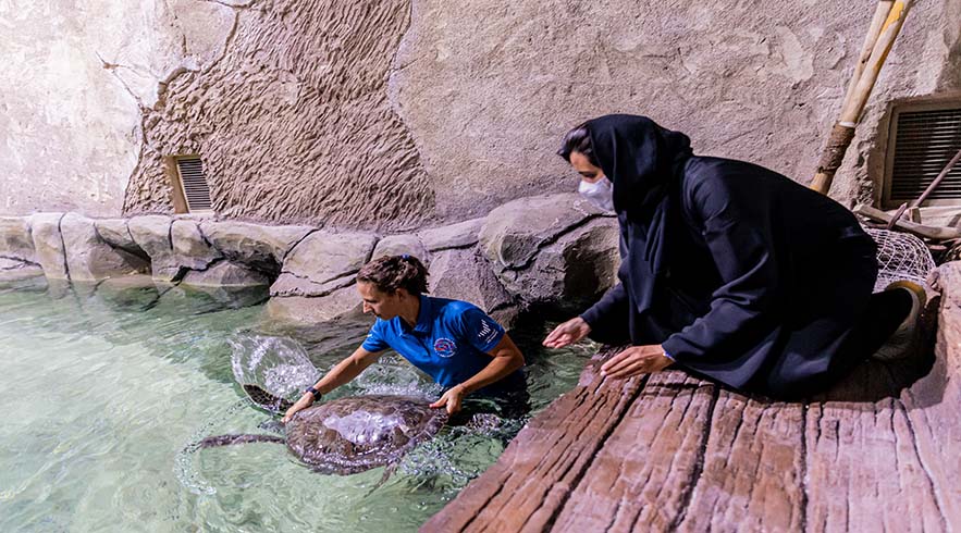 The National Aquarium visitor gallery image