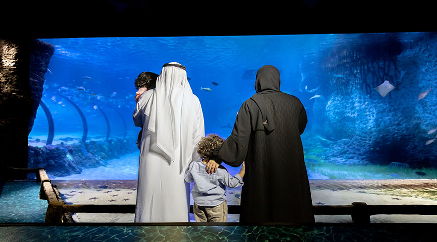 The National Aquarium visitor gallery image